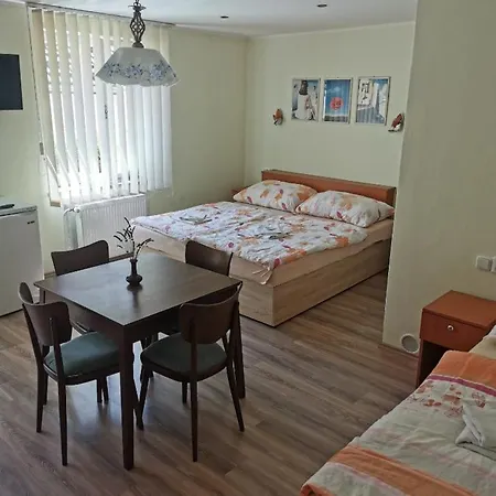 Alster Hotel 3*