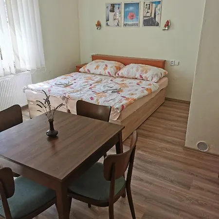 Hotel Alster 3*