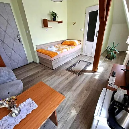 Alster Hotel