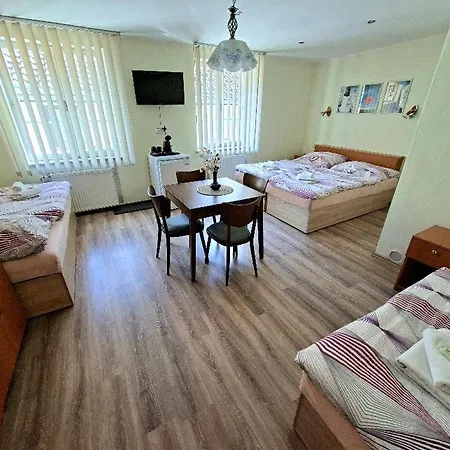 Hotel Alster