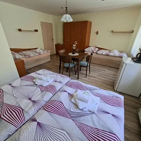 Alster Hotel Jevíčko