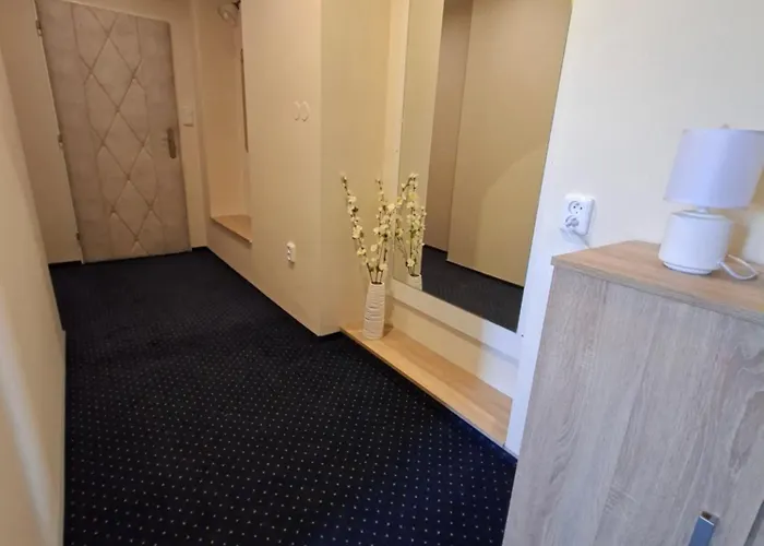 Отель Alster 3*