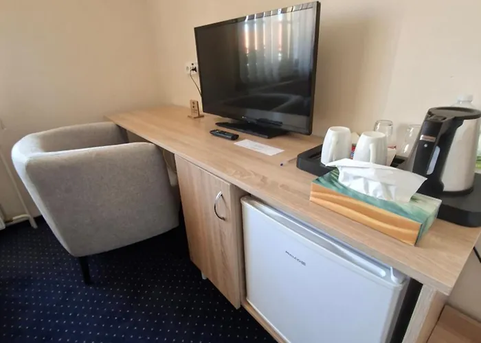 Alster Hotel 3*