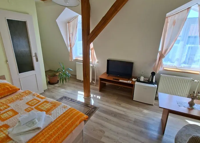 Hotel Alster 3*