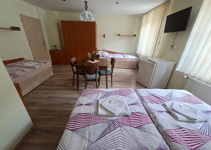 Alster Hotel 3*